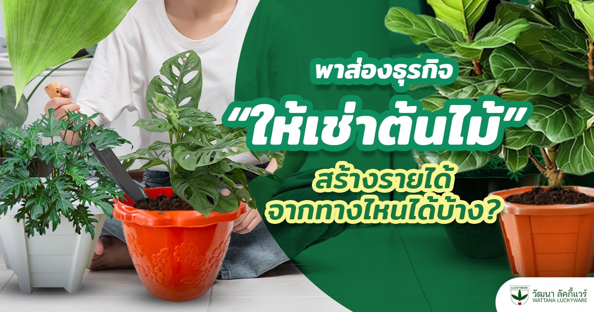 ธุรกิจให้เช่าต้นไม้