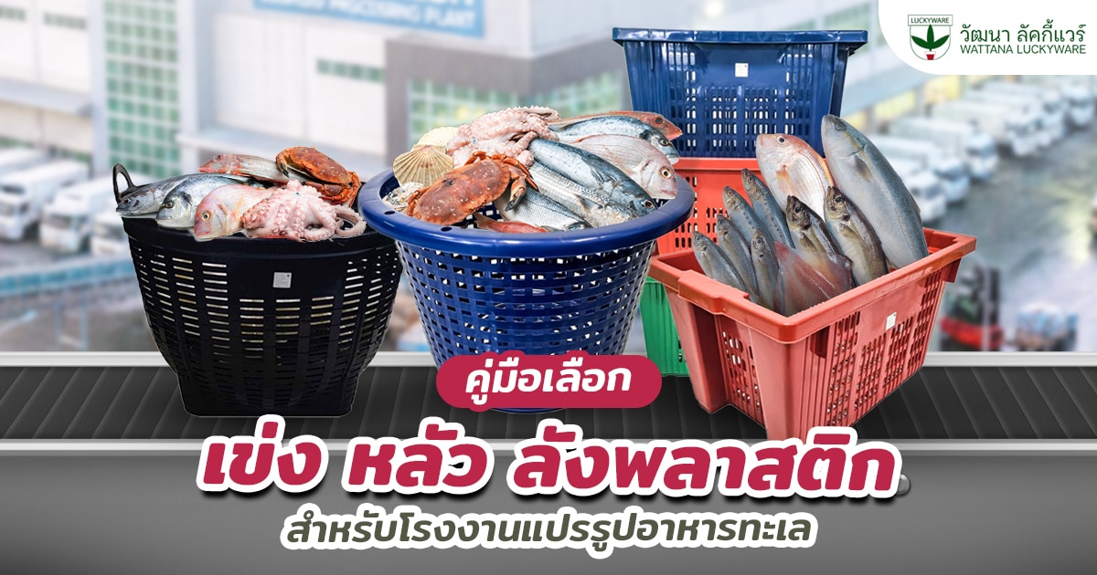 โรงงานแปรรูปอาหารทะเล เข่ง หลัว ลัง พลาสติก