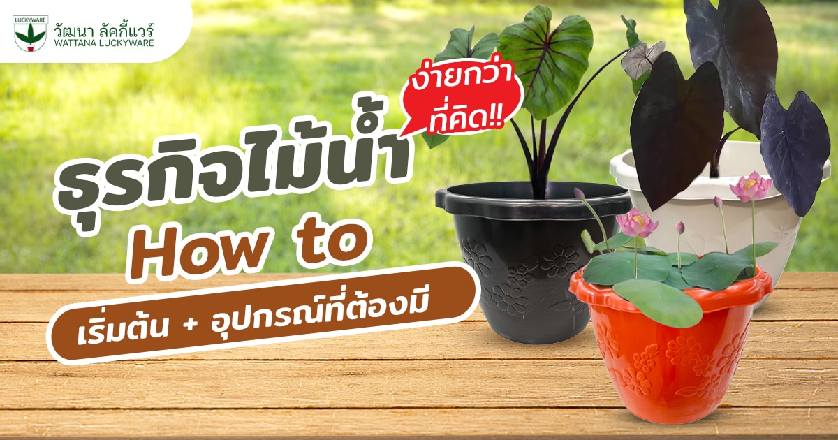 ธุรกิจไม้น้ำ