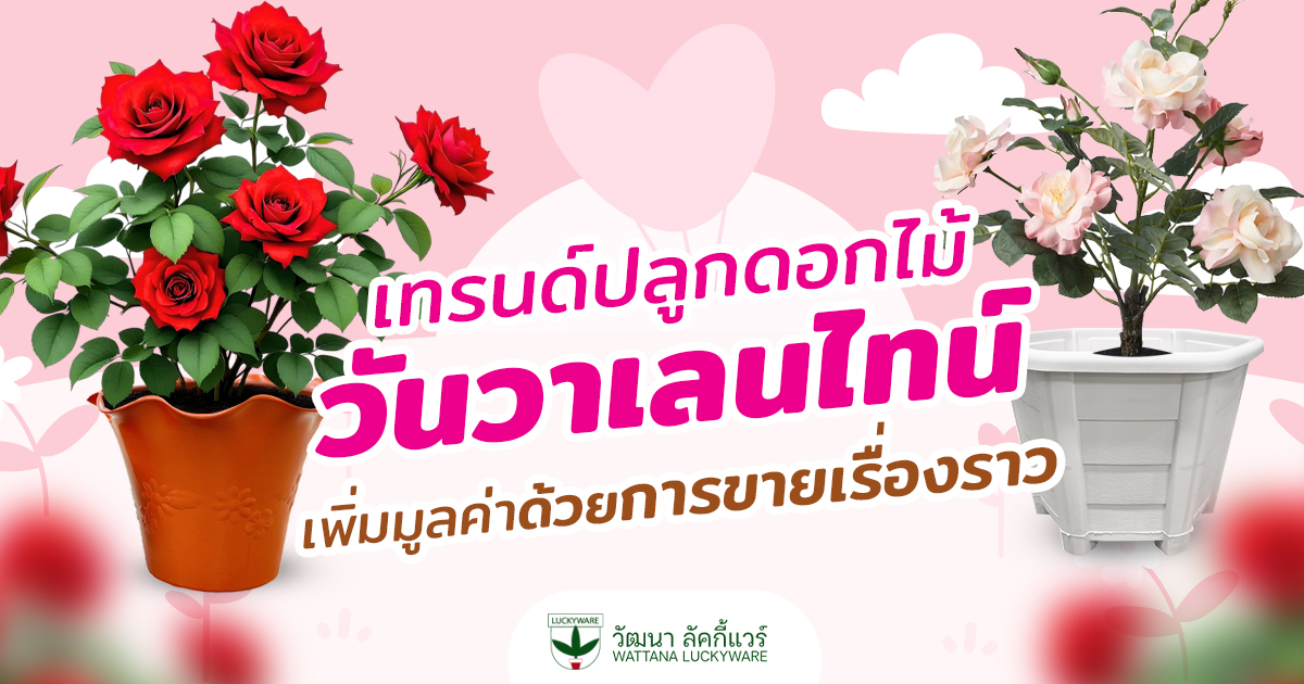 ปลูกดอกไม้ วันวาเลนไทน์