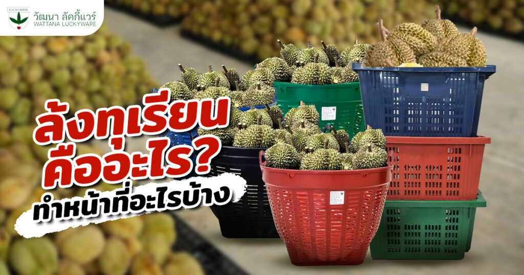 ล้งทุเรียน คืออะไร ทำหน้าที่อะไร