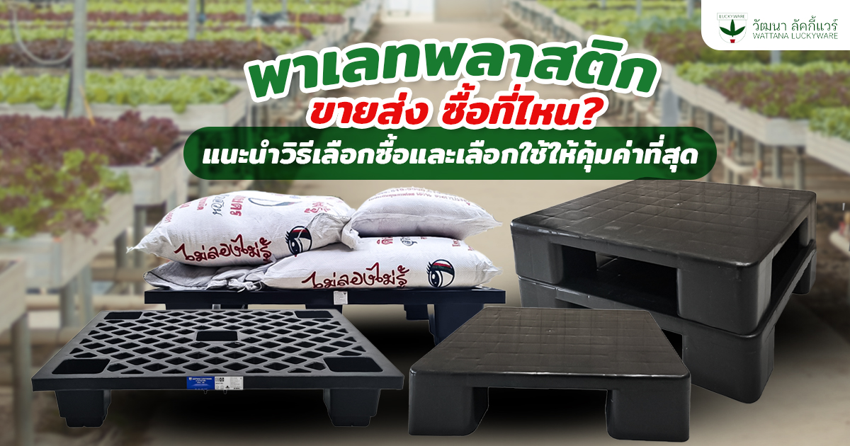 พาเลทพลาสติก ขายส่ง ซื้อที่ไหน
