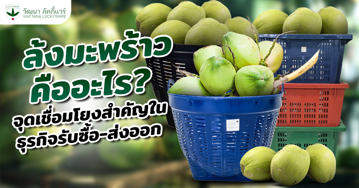 ล้งมะพร้าว คืออะไร ทำหน้าที่อะไรบ้าง