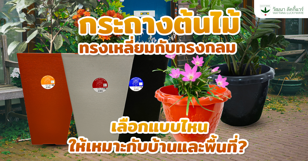 กระถางต้นไม้ทรงเหลี่ยม กับทรงกลม เลือกแบบไหน